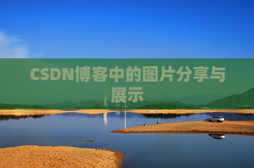 CSDN博客中的图片分享与展示